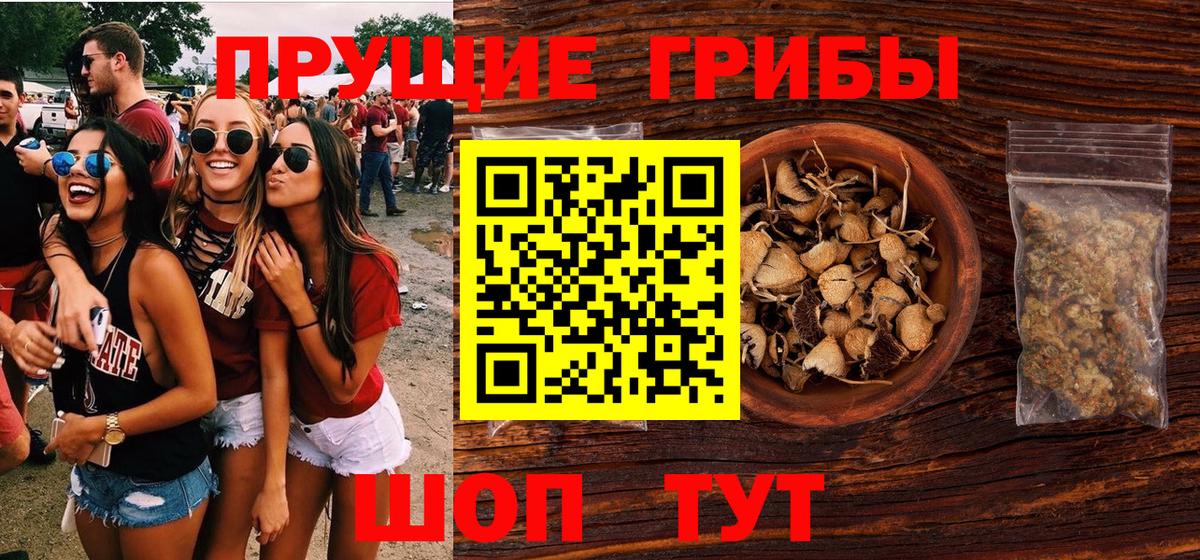 Псилоцибиновые грибы Psilocybe Тавда